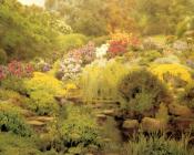 A Watergarden - 乔治·马克斯